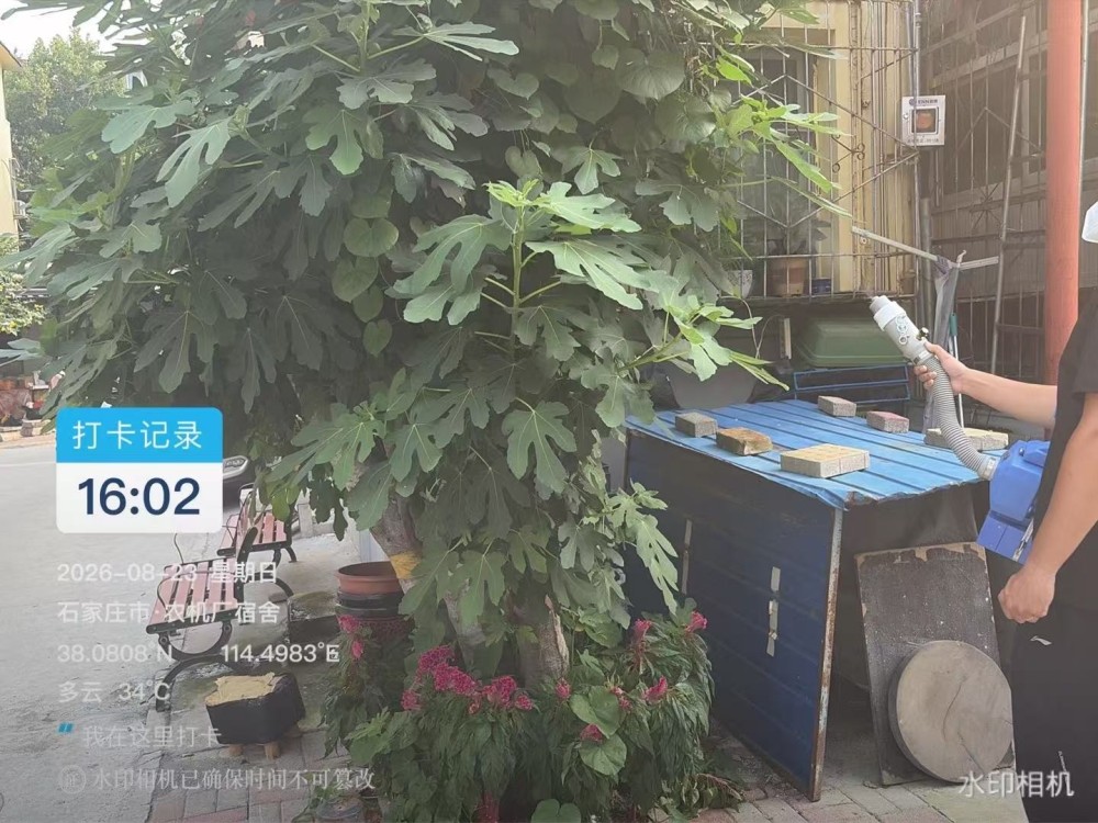 农机厂宿舍  绿化  垃圾桶消杀  熏杀蚊虫